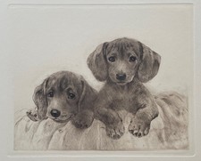 "Junge Dackel" Farbradierung von Kurt Meyer-Eberhardt (Hanfstaengl Nachlass)