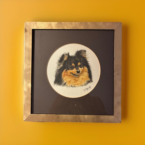 Pommerscher hund gerahmt - pommerscher,