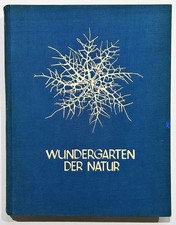 Fotografie photography /