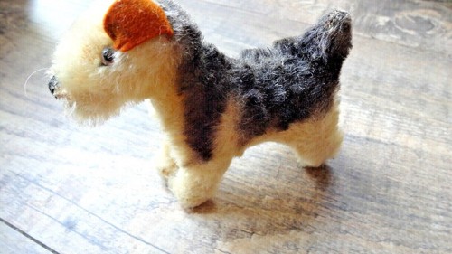Vintage steiff hund terry - vintage,