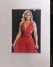 HELENE FISCHER : Schönes Star  Foto..10 X 15 ..Atemlos, Schlager..Sängerin.#213