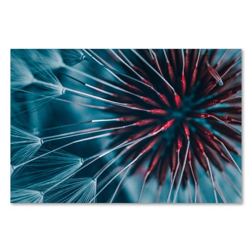 Postereck 2525 poster - postereck,