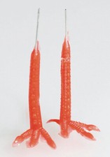 Vogelfüße rot verdrahtet  22