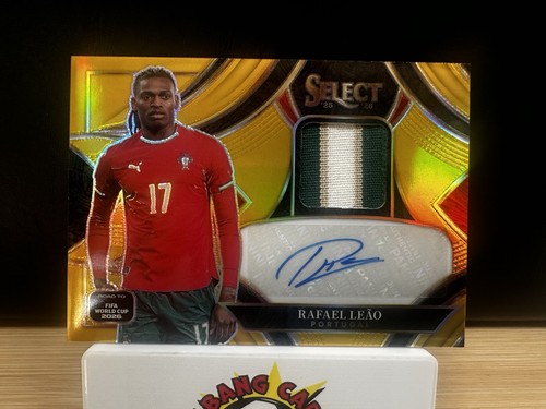 Panini select world cup - panini,
