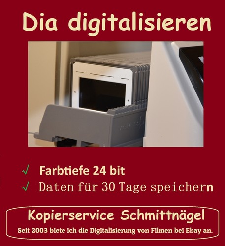 300 dias digitalisieren auf - 300,