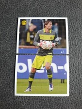 Panini BVB Echte Liebe Roman