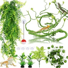 Hängepflanze Terrarium