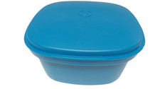 🌺 Tupperware Siebservierer