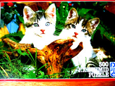 F.X. Schmid 500 Teile Puzzle "