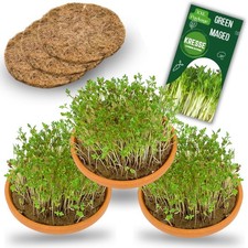 Kresse anzuchtset - ,