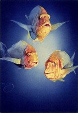 Künstler Ak Wendt, Barsche, Curta und Co GmbH - 11361225