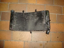 CBR 900 SC33 Kühler