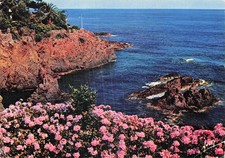 83 COTE D AZUR COTE DE L