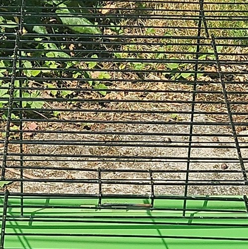 Kleintierkäfig käfig - kleintierkäfig,