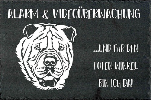 Shar pei hundewarnschild - shar-pei,