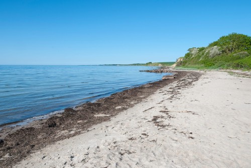 Wandbild sandstrand auf der - auf,