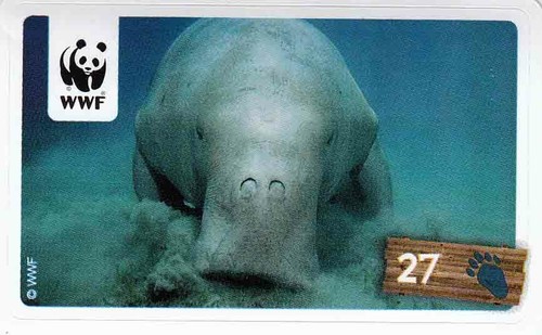 Rewe wwf tier abenteuer - rewe,