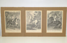 3er Set Lithographie Johann Elias Ridinger Wiener Hofreitschule 33,5 x 25,5 cm