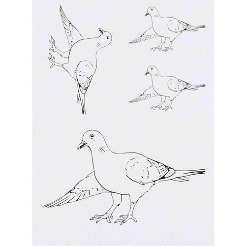 Bowing pigeon temporary - 'bowing, pigeon'