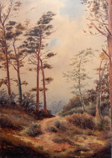 Westerwaldlandschaft