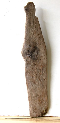 Treibholz schwemmholz - treibholz,