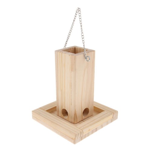 Papagei vogel futtersuche - papagei,