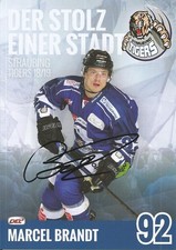 Marcel Brandt / Straubing Tigers / Saison 2018-2019 / Autogrammkarte