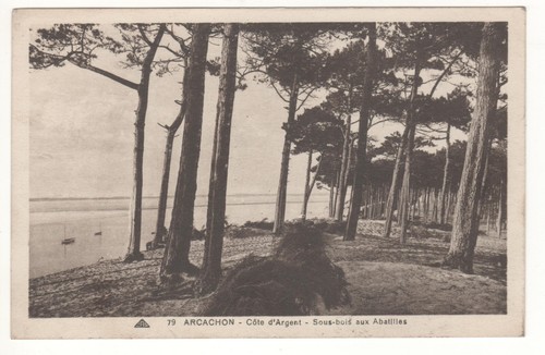 Cpa arcachon - -,