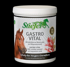 Stiefel Gastro Vital 1 kg