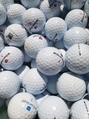 100 golfbälle wilson staff - 100,