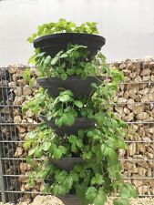 Vertical Garden XL