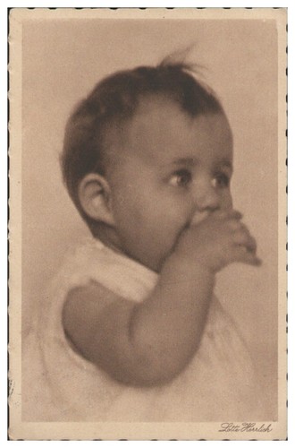 Y1768 lotte herrlich - lotte,