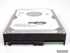 80GB Maxtor DiamondMax 10 (6L080M0) SATA 3.5 Zoll HDD Festplatte, BULK, 100% OK