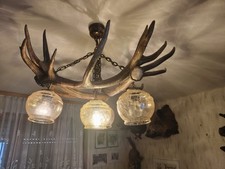 Hirschgeweih Kronleuchter