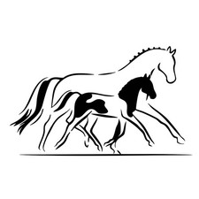 Pferdeanhänger Aufkleber Motiv Stute mit Fohlen glanzvoller Auftritt Exklusiv