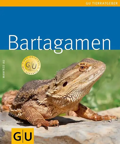 Bartagamen zustand sehr gut - bartagamen,
