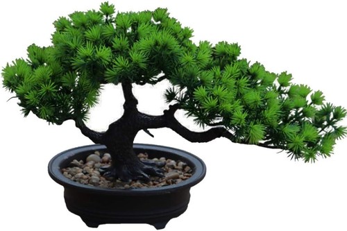 Künstlicher bonsai baum - bonsai,