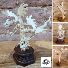 Drachen Schnitzereien Dragon
