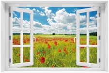 Wallario Poster mit Fenster-Illusion Grüne Wiese Mohnblumen blauer Himmel weiße