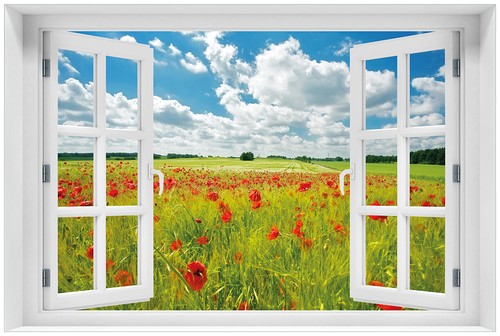 Wallario poster mit - wallario,