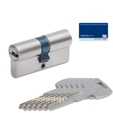 Sicherheitszylinder Profilzylinder GL  Basi gleichschließend Zylinder Schloss