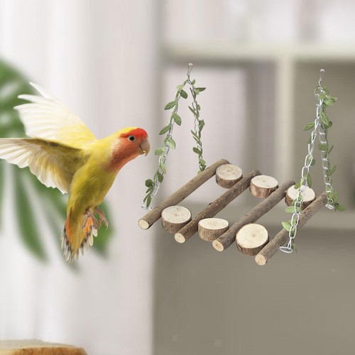 Vögel papageienspielplatz - vögel,