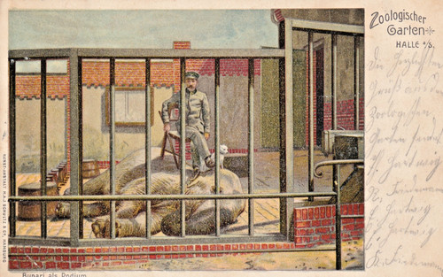 Halle saale zoologischer - halle,