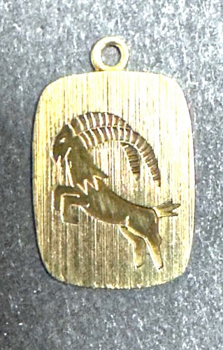 Anhänger sternzeichen - anhänger,