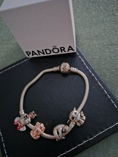 🩷Pandora Armband Charm