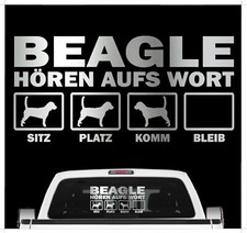 Beagle English Beagel Hört
