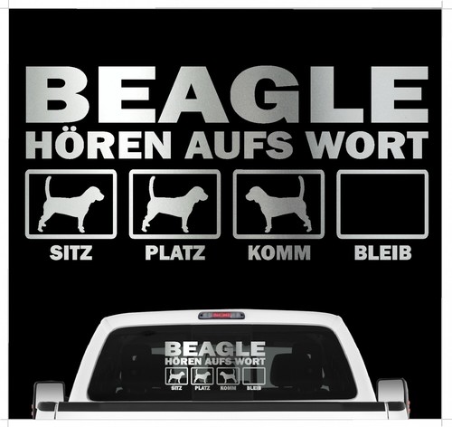Beagle english beagel - english,
