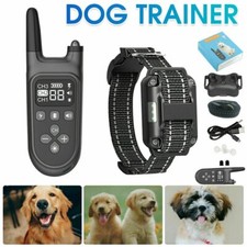 Ferntrainer Erziehungshalsband