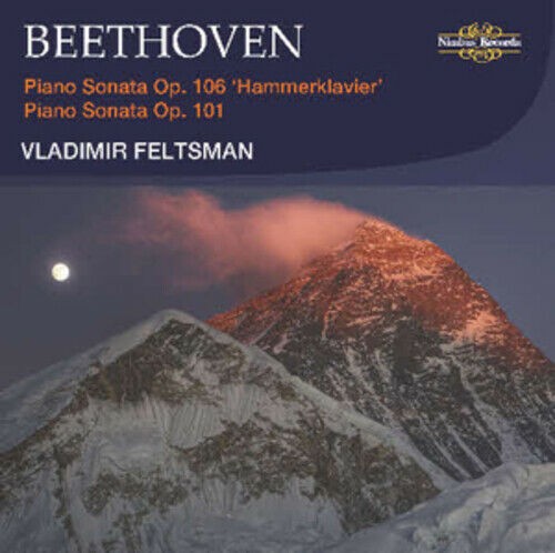 Beethoven piano sonata - beethoven,