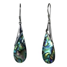 6cm Abalone Perlmutt Muschel